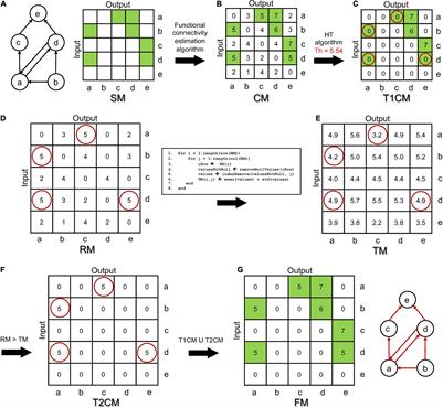 Thresholding Functional Connectivity Matrices to Recover the Topological Properties of Large-Scale Neuronal Networks